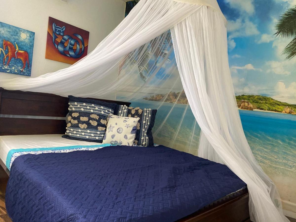 Au Soleil Des Antilles
