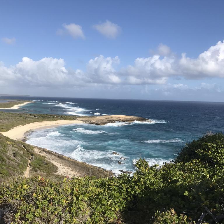 Au Soleil Des Antilles